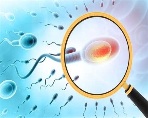 河南单周期试管费用低正规医院,河南不孕不育的正规医院