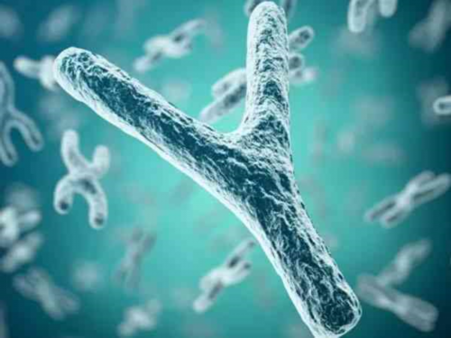 专业代怀网_国内代怀中心_宁德市医院有做试管婴儿吗？价格真的超级贵吗？