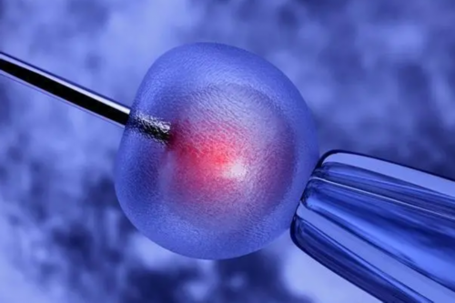 河南合法试管代孕 河南信合医院生殖医学中心 ‘孕12周nt值看男女’