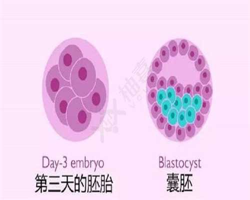 郑州代孕妈妈qq 2026年郑州提供试管婴儿生男孩的医院 ‘通过大排畸数据看男女