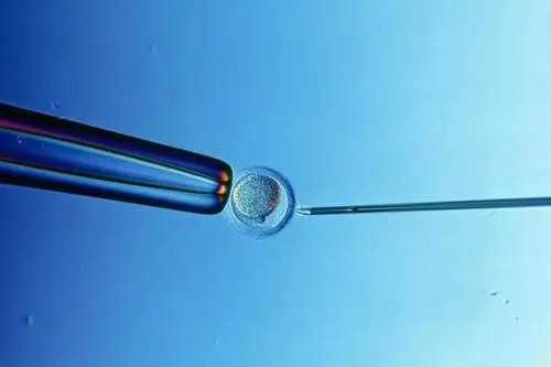 九江供卵代怀孕三代试管包儿子