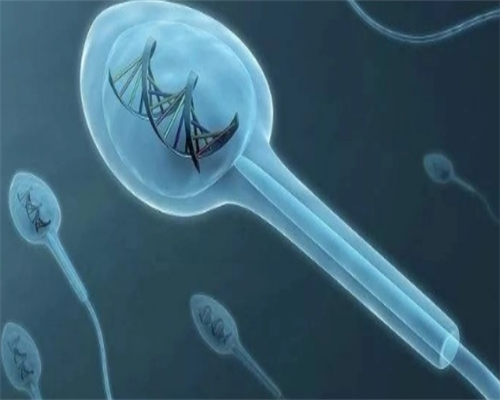 郑州哪里能治好不孕不育