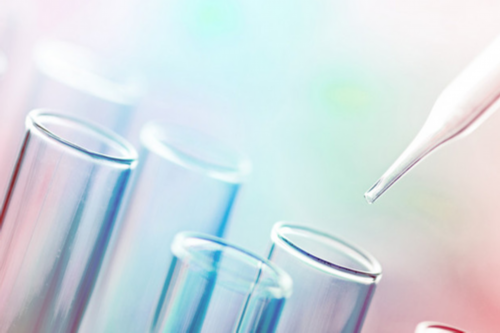 代生子包成功-7月29移植三天的鲜胚7月31日移植5天的鲜