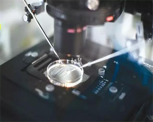 泰国代怀宝宝价格_专业代怀收费_十一国庆7天长假做试管婴儿时间够吗,做试管