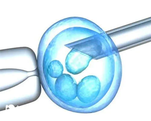 郑州供卵试管流程 郑州正规民营供卵机构哪家好 ‘九周孕囊看男女依据’