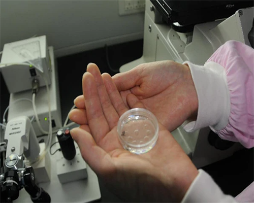 濮阳三代试管费用总共多少-河南哪里可以做第三代试管