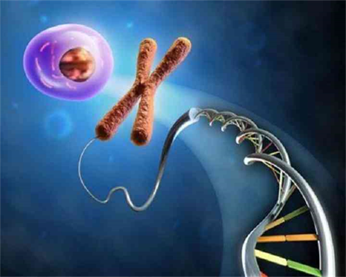 洛阳北大试管婴儿的具体操作流程是什么?,洛阳植发哪家医院好?洛阳鹏程医