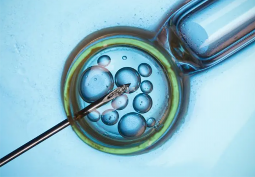 洛阳“最美口罩勒痕”护士及团队援沪:我们来回报洛阳了