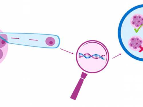 洛阳独生子女补贴政策说明,洛阳独生子女补贴发放细节