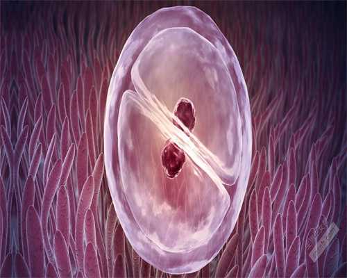 洛阳免疫细胞疗法的骗局?,什么是洛阳方法试管微刺激??