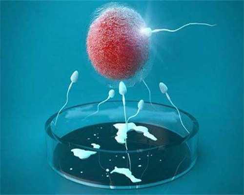 试管代怀子-慢性盆腔炎做试管容易着床吗！慢性盆腔炎能移植囊胚吗！