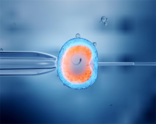 靠谱的郑州助孕公司 郑州试管婴儿成功率排名靠前的三甲医院有哪些？ ‘四维