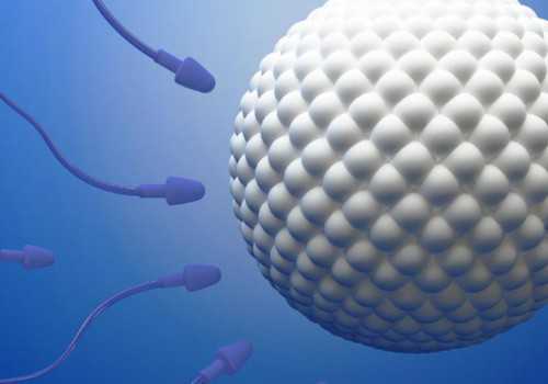 郑州供卵三代试管(郑州三代试管供卵包成功)