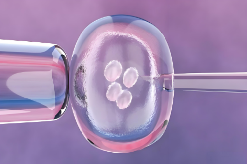 洛阳选性别代孕中心|做试管婴儿前输卵管积水要不要处理