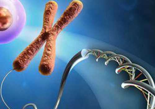 郑州供卵试管要等多久？去郑州做供卵试管要不要排队？-上海供卵试管公司有