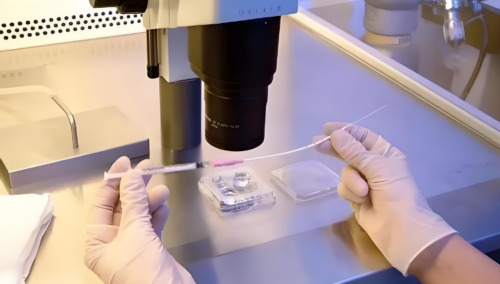 郑州做试管婴儿多少钱啊