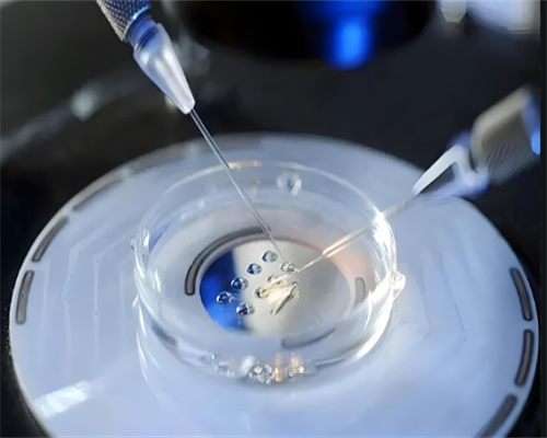 河南信阳有做试管的医院吗？