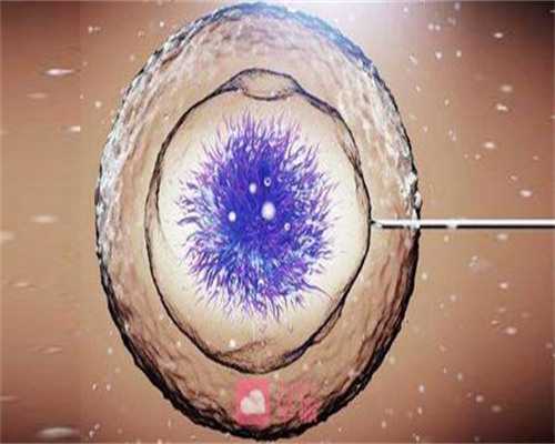 2026年郑州三代试管婴儿包男孩医院排名？附费用明细？