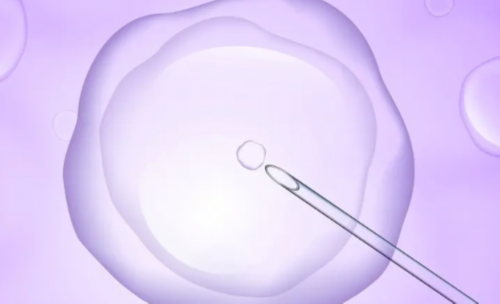 河南可供卵的生殖医院有哪些,河南中医三附院生殖医学中心