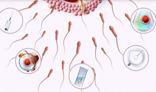 洛阳新生儿医保办理,洛阳iso认证,洛阳iso认证办理电话,洛阳iso认证机构