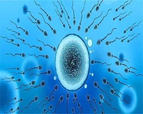 洛阳仁济医院试管经历(洛阳仁济医院试管取卵)