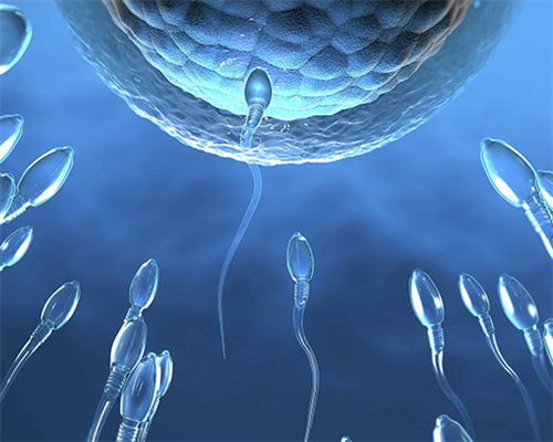 河南中医一附院试管婴儿费用明细,河南省河南市人民医院做试管婴儿可以选性