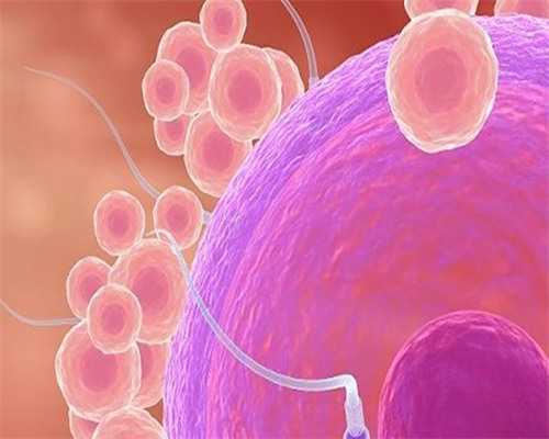 9月河南→重庆→河南站,【河南站】下半场实况分享