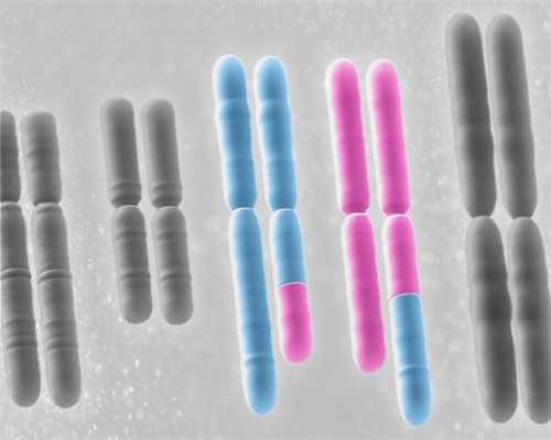 河南供卵代生-河南供卵医院在哪