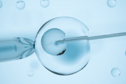 郑州哪里能治好不孕不育