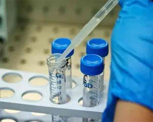 河南安阳供卵三代试管婴儿医院排名，成功率最高的是哪家？