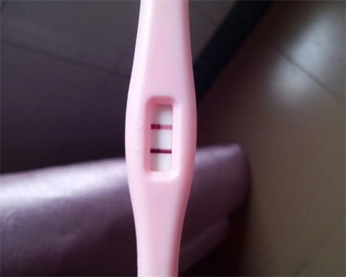 洛阳iso认证,洛阳iso认证办理电话,洛阳iso认证机构