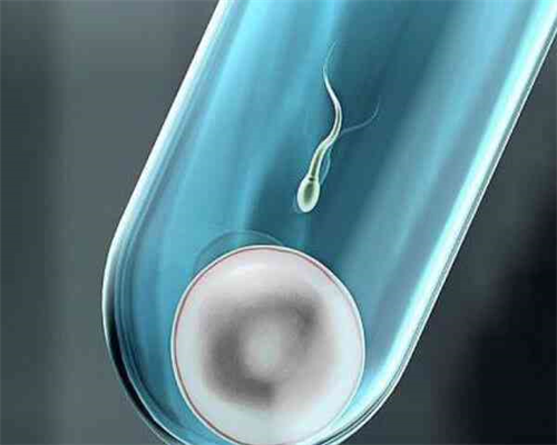 郑州正规代生孩子,福建三代试管婴儿成功率多少？能一次成功吗？_早孕58天孕