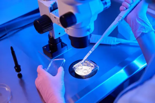 辽阳供卵代怀孕三代试管包儿子