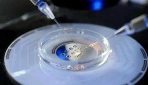 河南开封供卵试管机构(开封供卵试管兰梦试管徴)