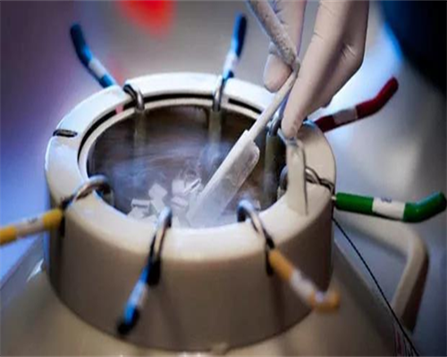 供卵代怀孩子_代怀价格是多少_胚胎移植后都有哪些饮食注意事项？