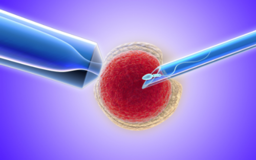 辽阳供卵代怀孕三代试管包儿子