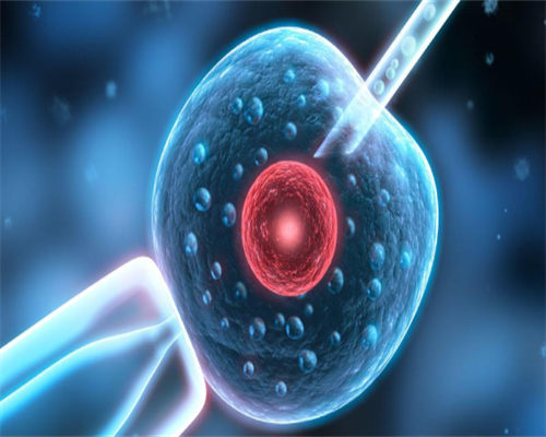 洛阳代孕公司服务好|茂名人民医院郑文玲试管？河南圣德医院生殖科张丽？