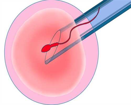 2026最新郑州生殖医院名单大全！内附提高试管成功率小妙招