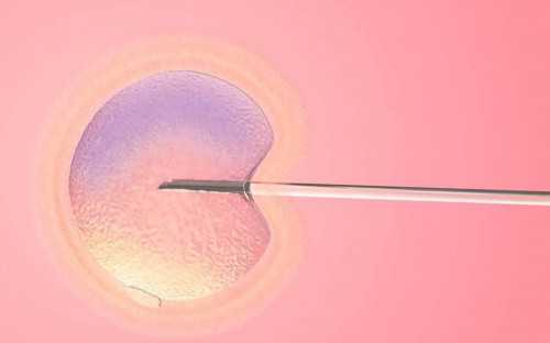 代怀网_代怀套餐价格_舟山三代试管怎么选择性别
