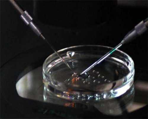 【河南站】上半场实况分享,9月河南→重庆→河南站