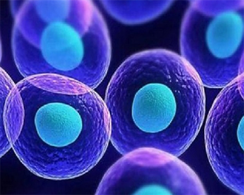 洛阳可以做第三代试管婴儿的私人生殖医院有几家？