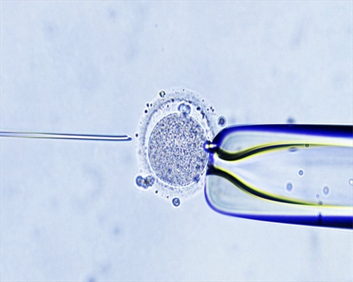 代怀孕哪里好_找捐卵代怀多少钱_泰国试管是否需要准生证？