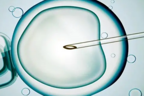 河南助孕最好医院 河南试管助孕价格表 ‘图解b超单看男女’