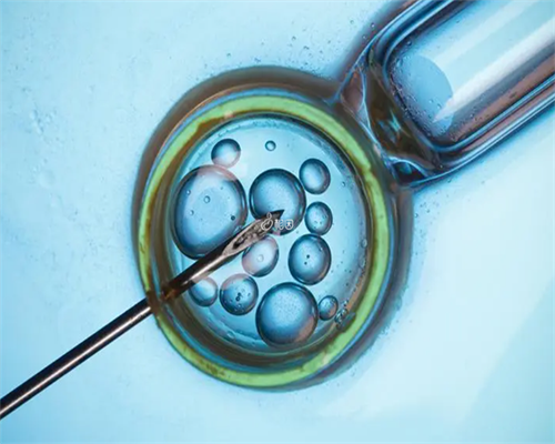 2026
年洛阳十大私立试管医院排名,我得了睾丸炎8天输液7天一直不好无法站立睾