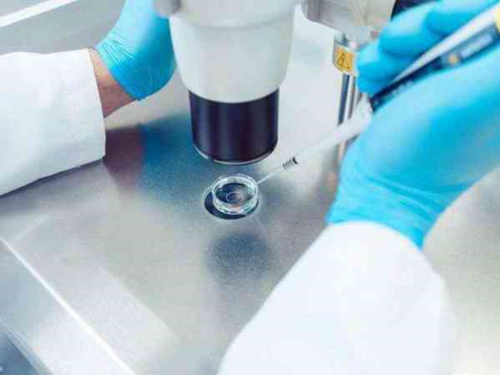 洛阳最好的试管医院推荐！,洛阳哪家做试管婴儿好些？