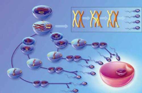 郑州三附院试管王兴玲(郑州试管婴儿三附院)
