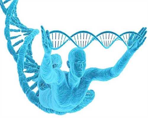 洛阳怎么找到代孕医院|人工授精和试管婴儿有何不同?赴美要选择哪种助孕方式