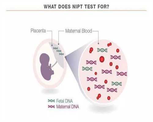 挑选洛阳试管医院的方法,洛阳协和医院在试管婴儿领域有哪些优势??