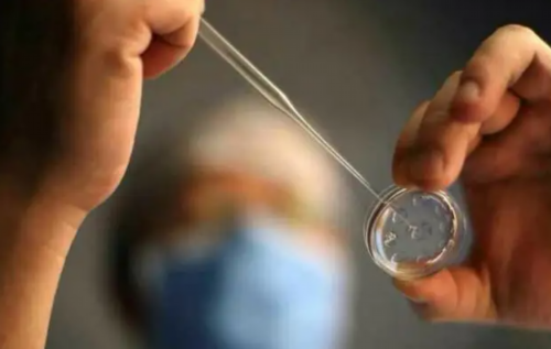 安顺供卵试管助孕代怀生孩子机构