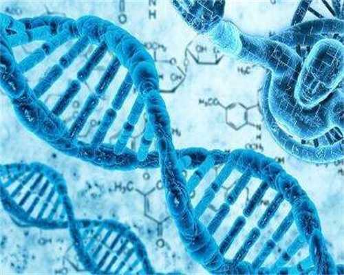 郑州做三代试管哪个医院最好_郑州能做三代试管不